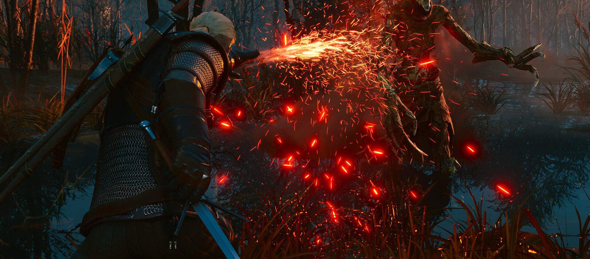 The Witcher 3: Wild Hunt — Remastered, in-game