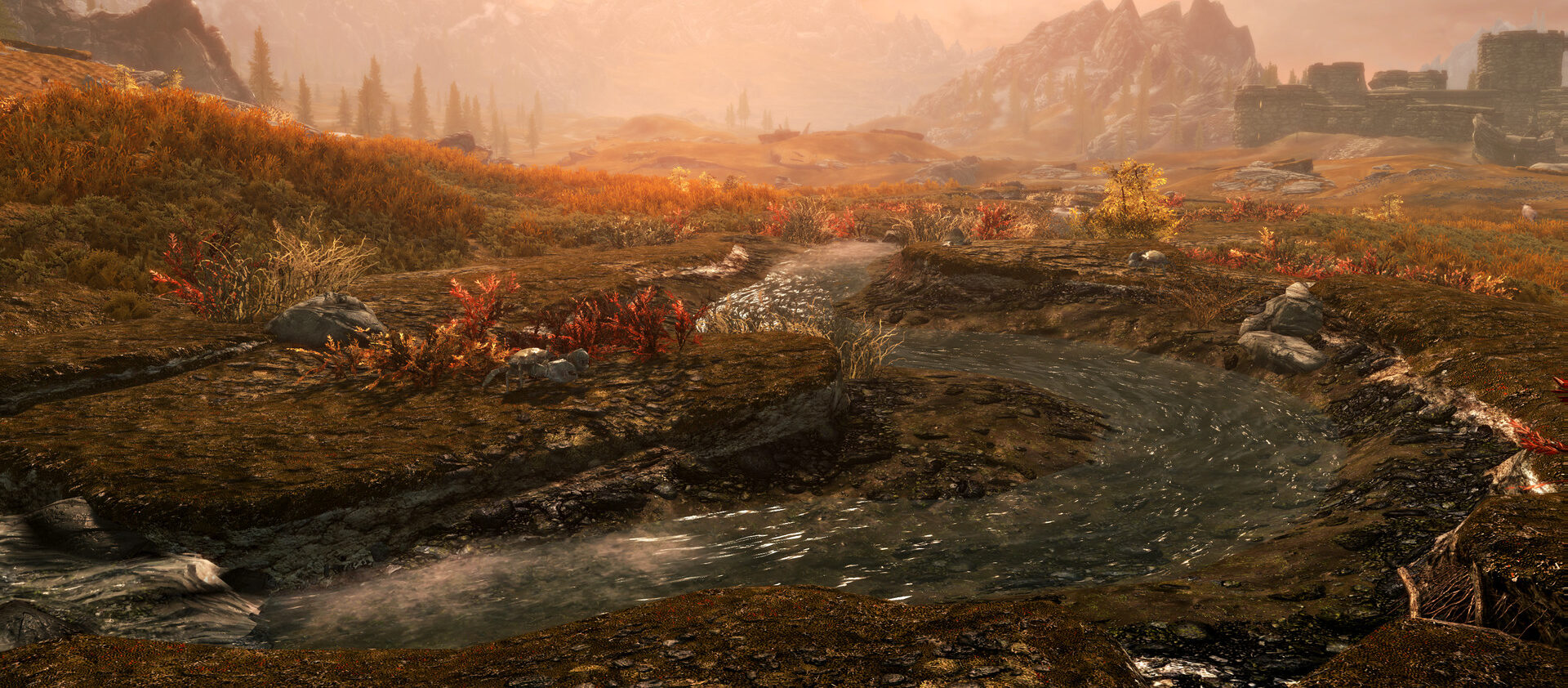 The Elder Scrolls V: Skyrim Special Edition, in-game