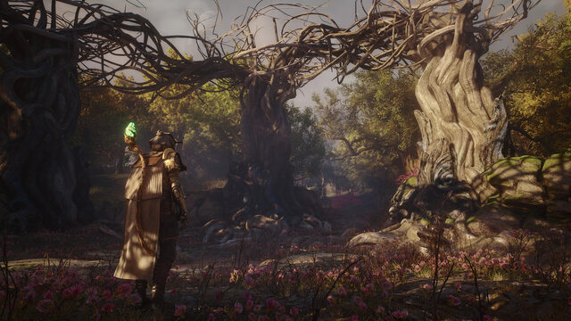Soulframe screenshot